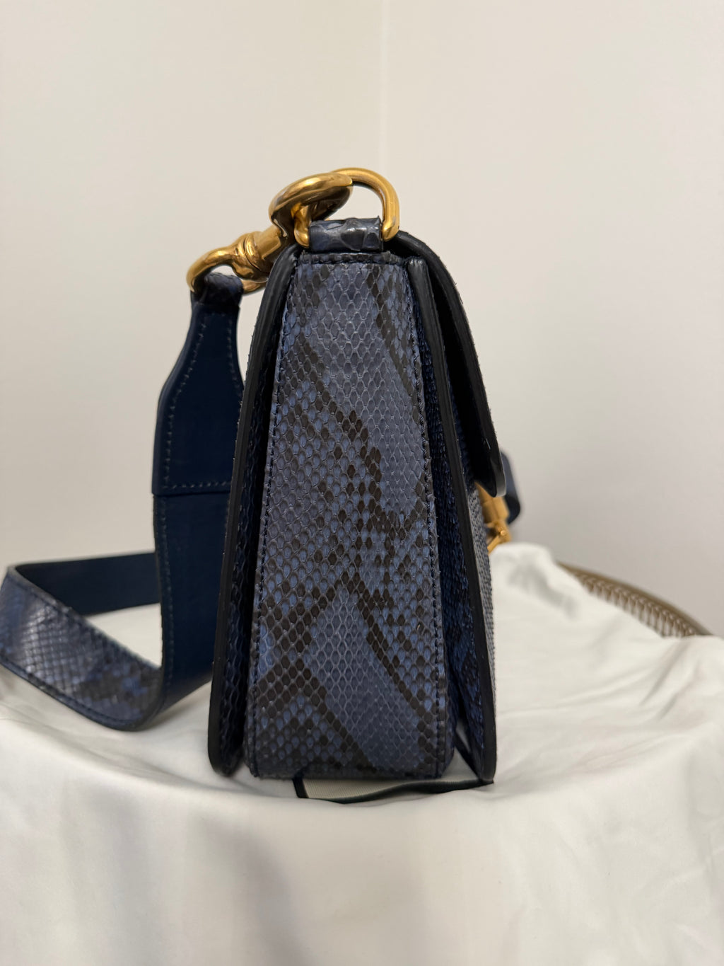 Gucci JACKIE PYTHON MEDIUM BAG