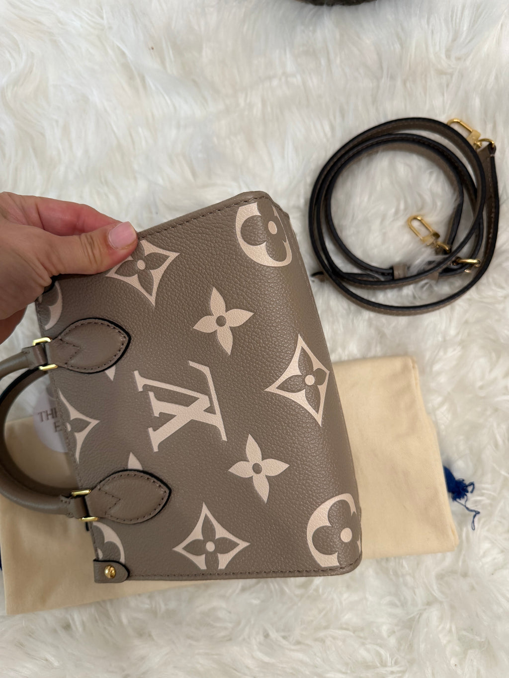 LOUIS VUITTON GIANT FELICIE ON THE GO BB BAG