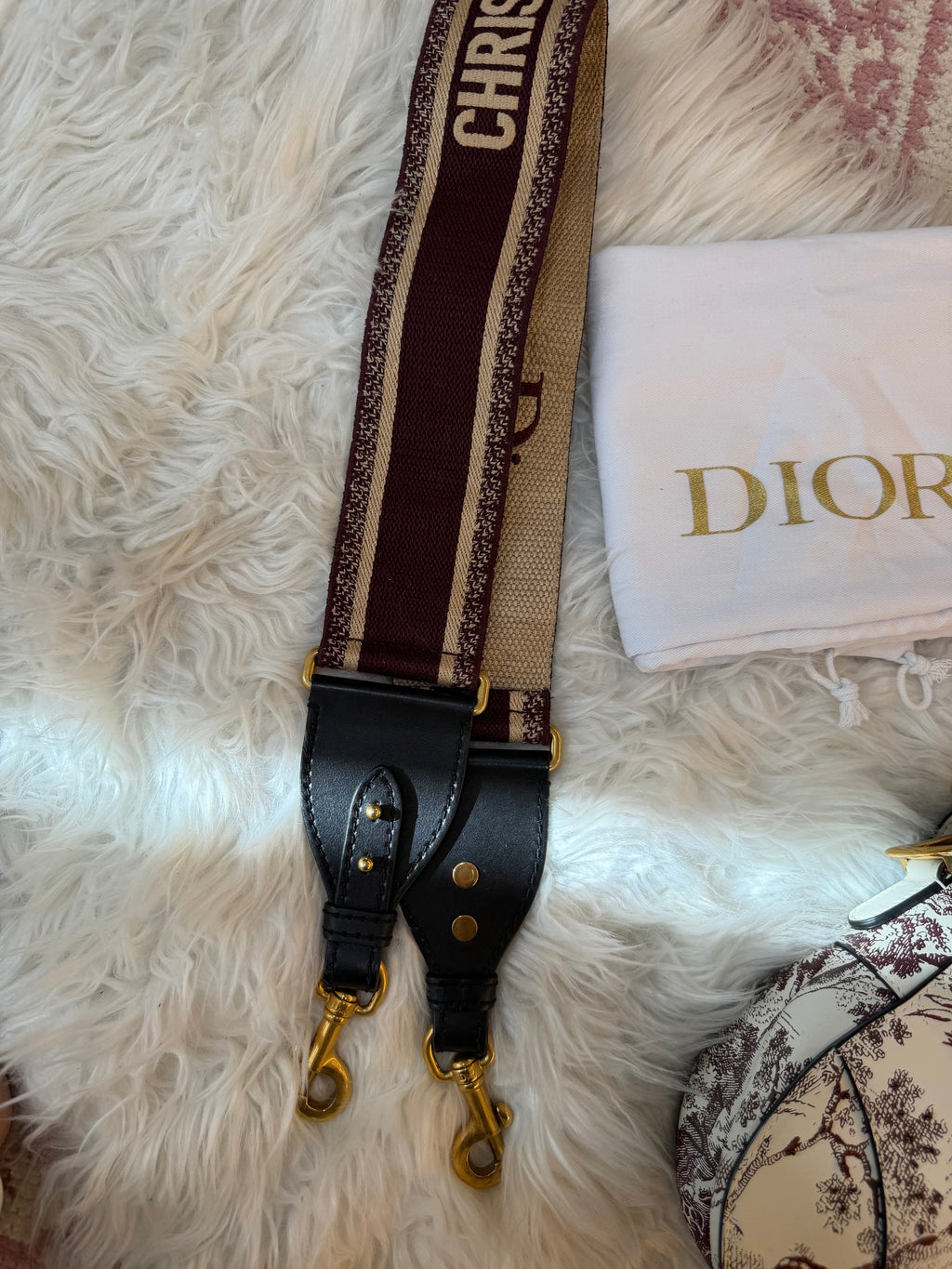 DIOR MEDIUM SADDLE TOILE DE JOUR TIGER EMBROIDERED CALFSKIN