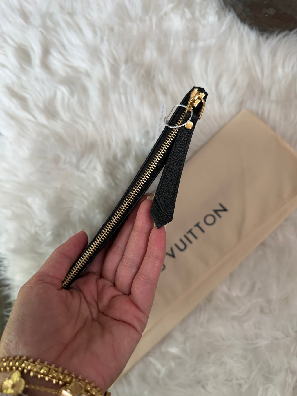 LOUIS VUITTON MONOGRAM DAILY POUCH