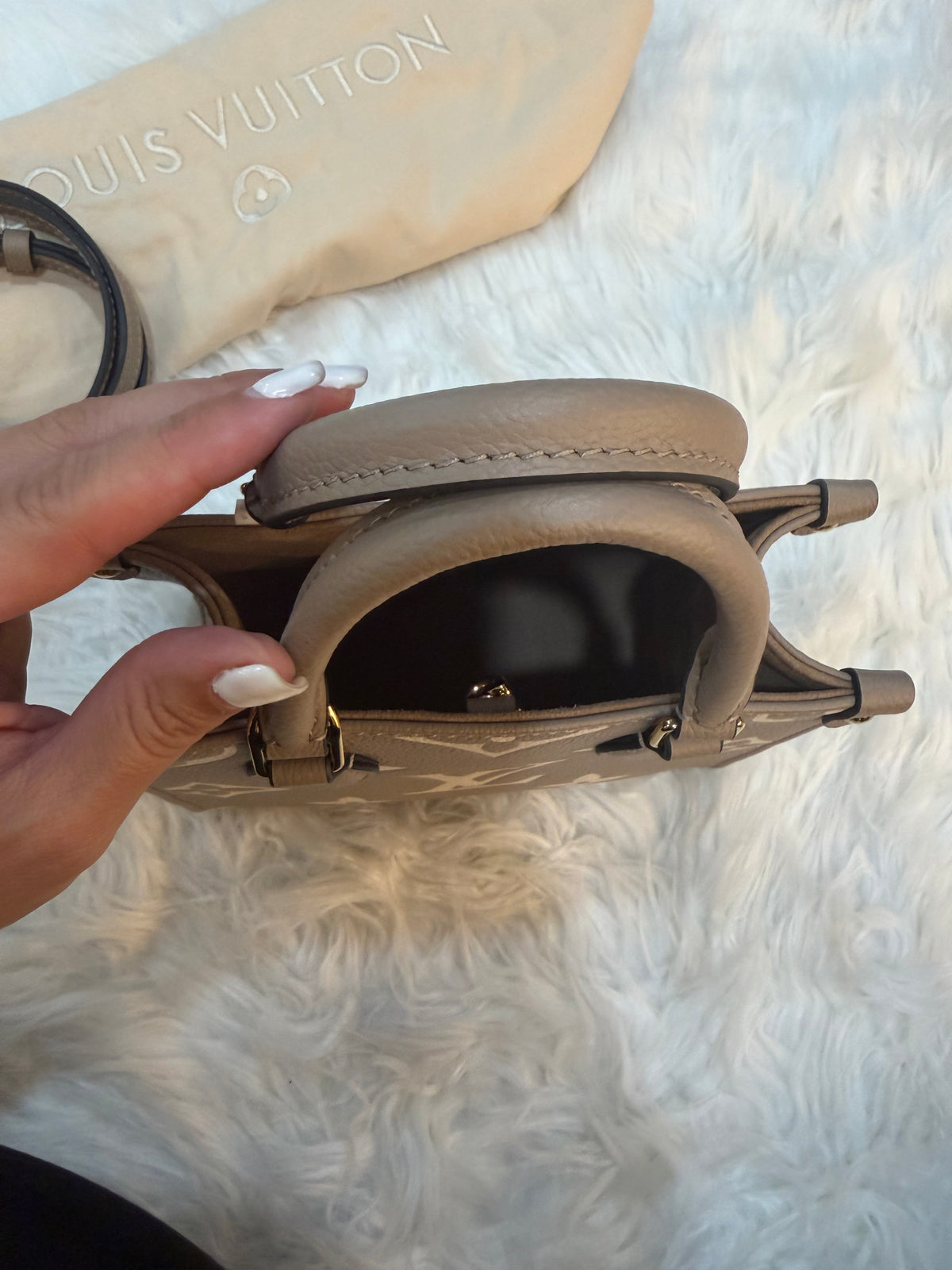 LOUIS VUITTON GIANT FELICIE ON THE GO BB BAG