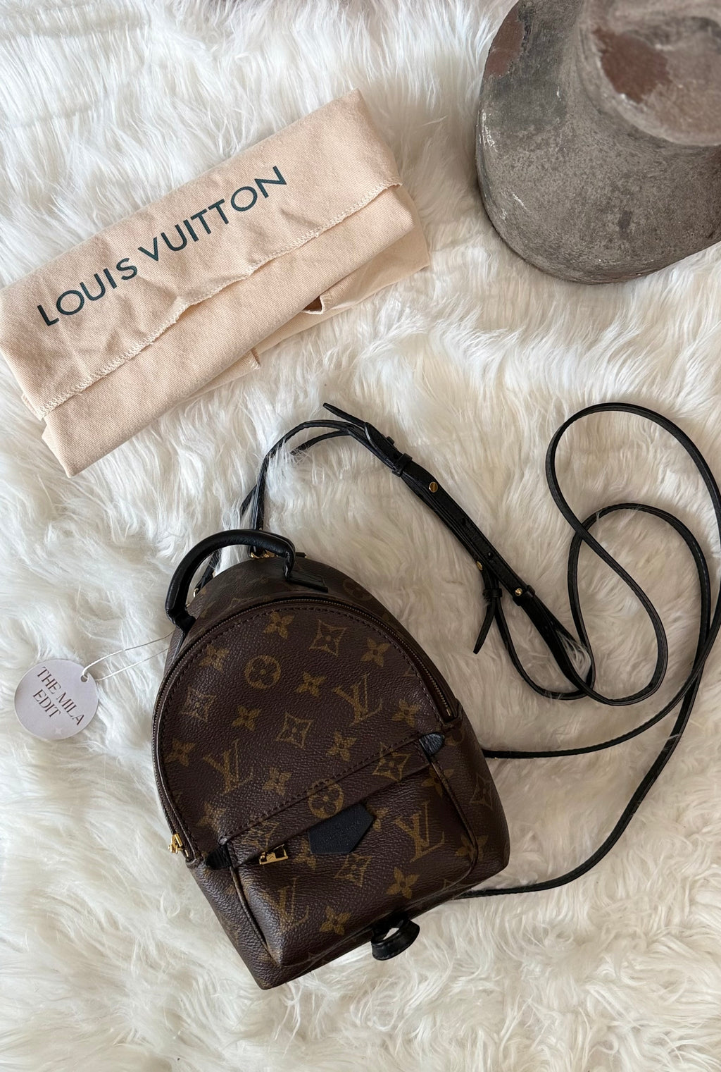 LOUIS VUITTON MONOGRAM PALM SPRINGS MINI BACKPACK