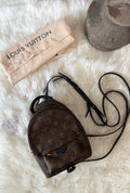 LOUIS VUITTON MONOGRAM PALM SPRINGS MINI BACKPACK