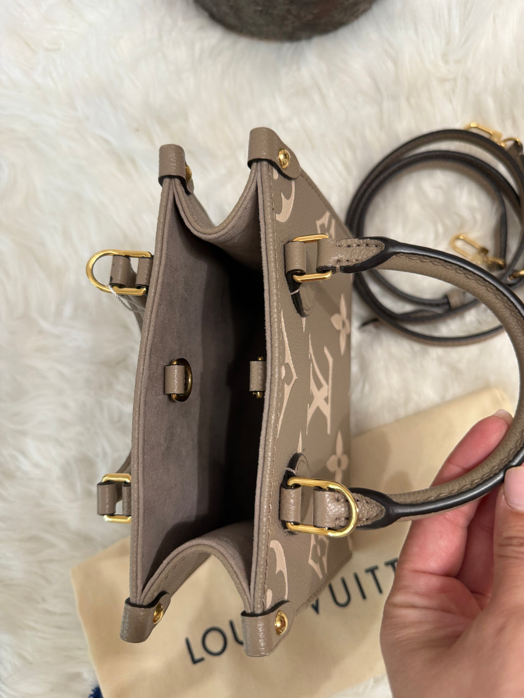 LOUIS VUITTON GIANT FELICIE ON THE GO BB BAG