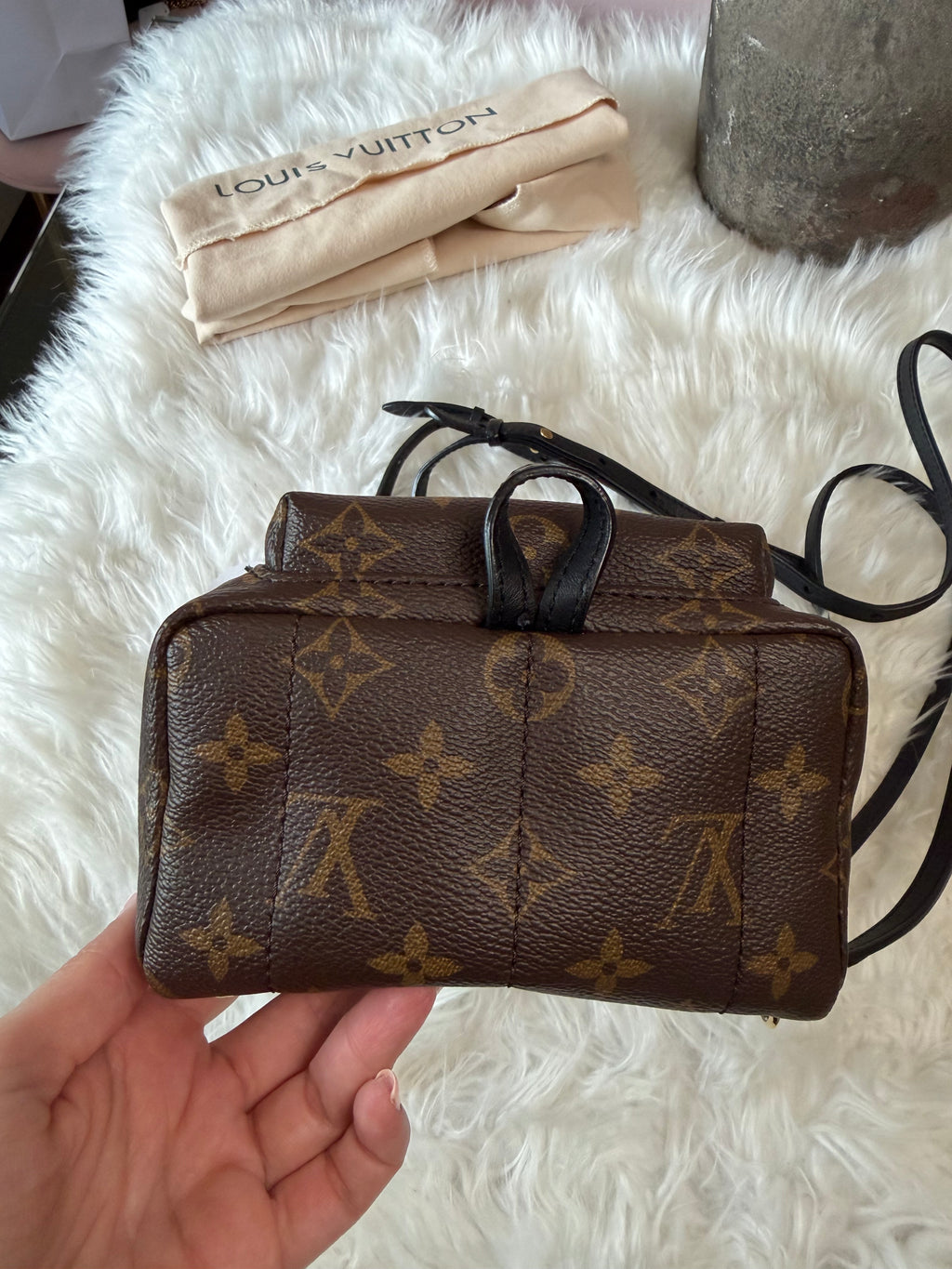 LOUIS VUITTON MONOGRAM PALM SPRINGS MINI BACKPACK