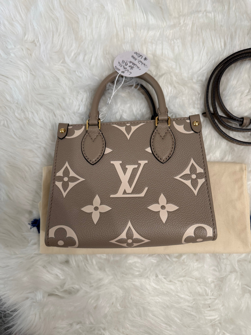 LOUIS VUITTON GIANT FELICIE ON THE GO BB BAG