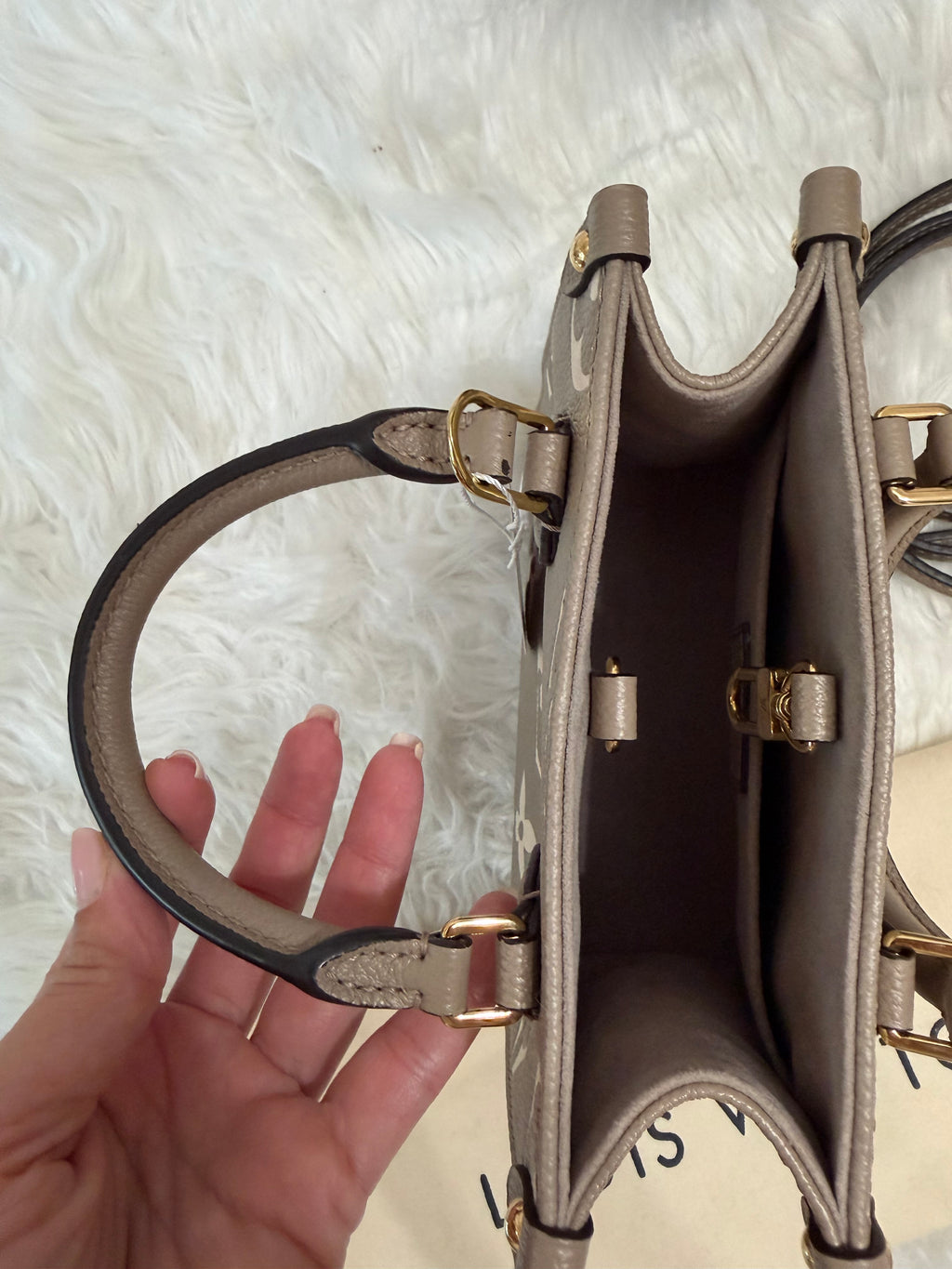 LOUIS VUITTON GIANT FELICIE ON THE GO BB BAG