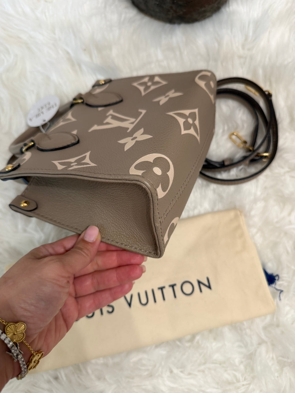 LOUIS VUITTON GIANT FELICIE ON THE GO BB BAG