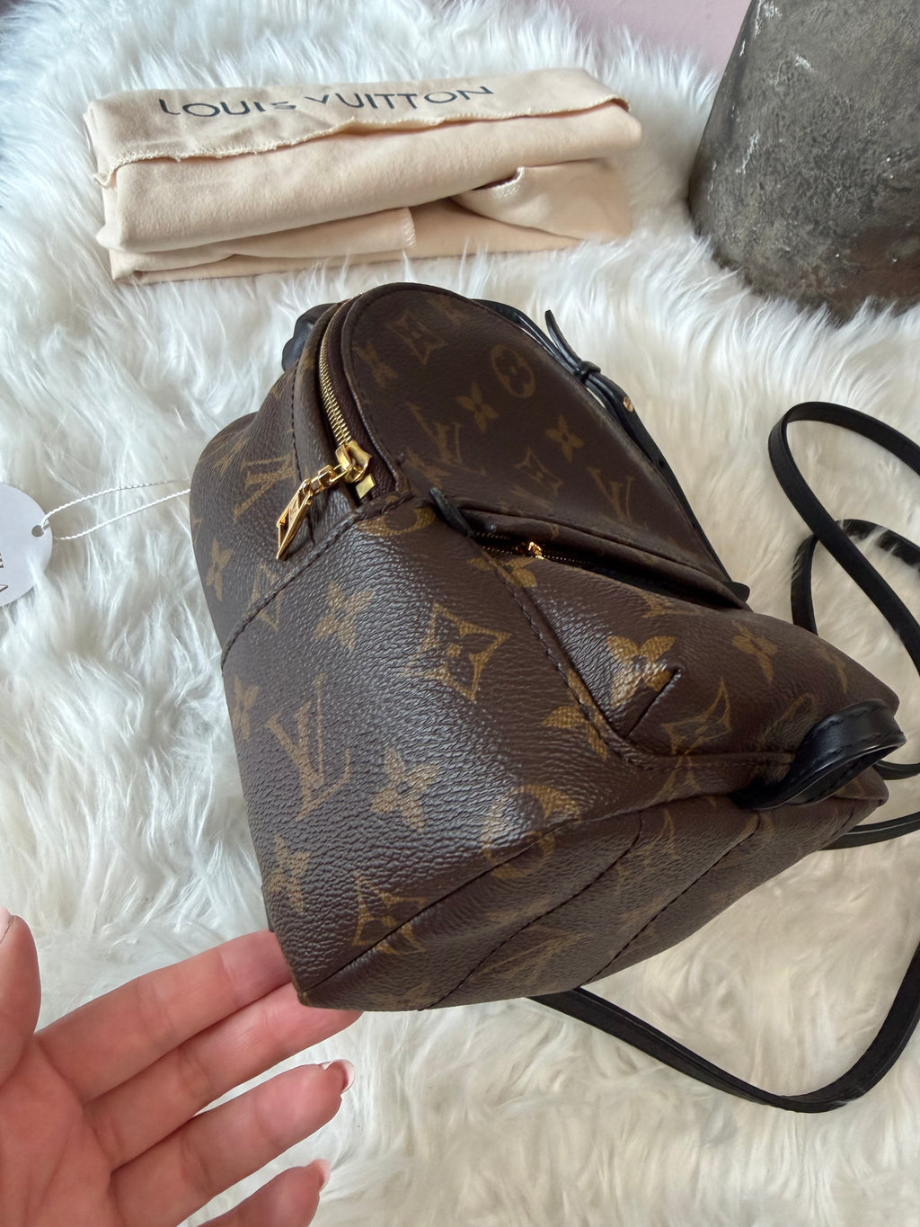 LOUIS VUITTON MONOGRAM PALM SPRINGS MINI BACKPACK