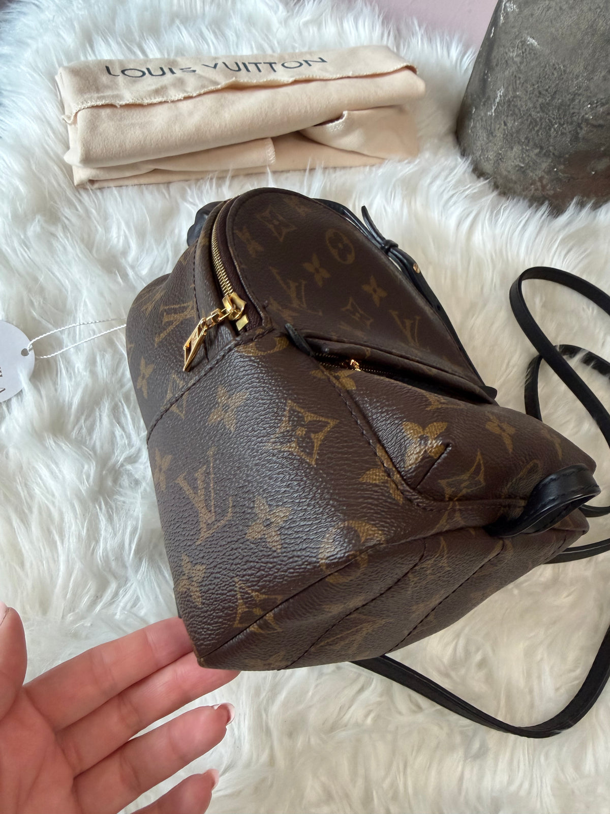 LOUIS VUITTON MONOGRAM PALM SPRINGS MINI BACKPACK