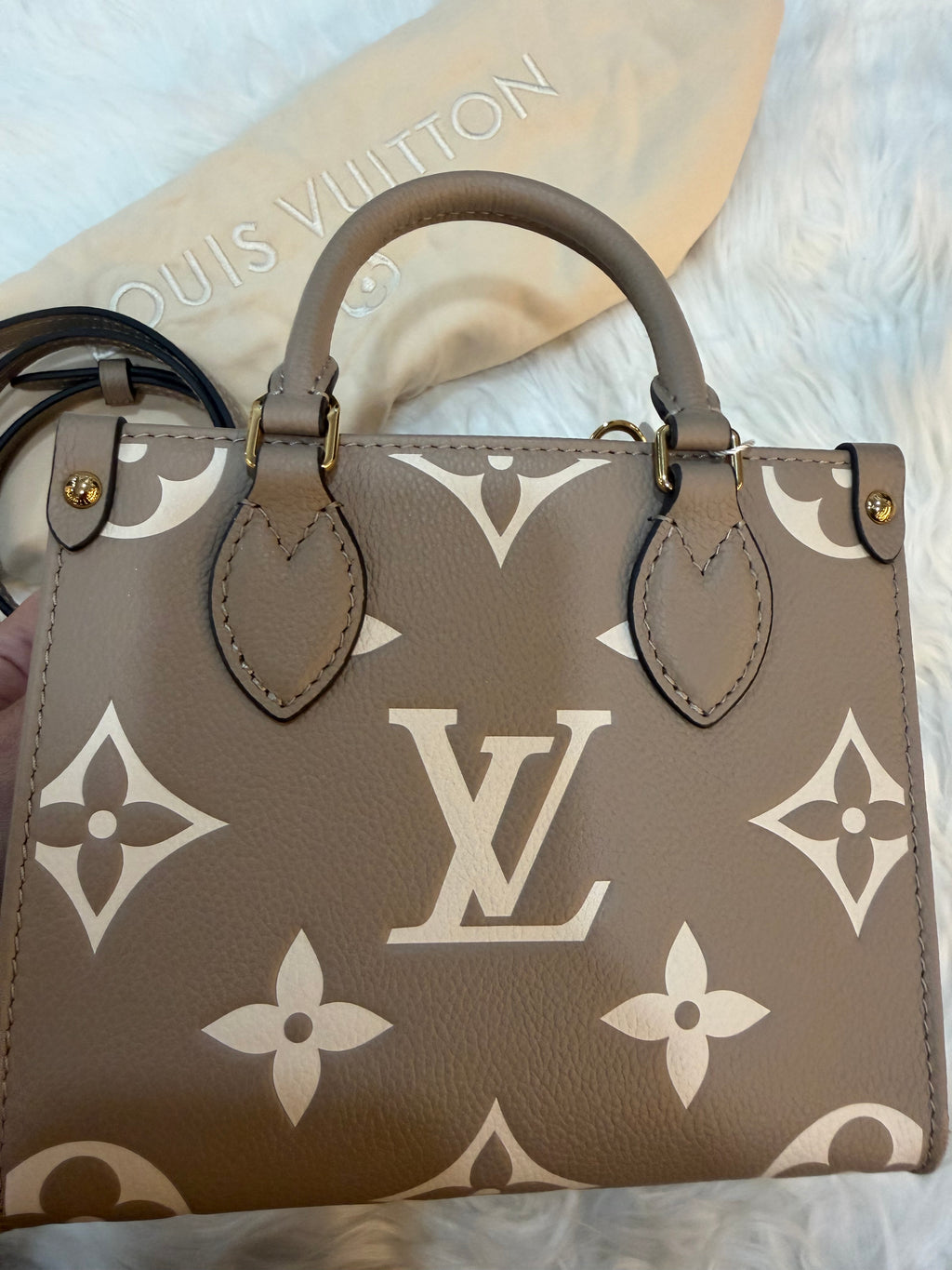 LOUIS VUITTON GIANT FELICIE ON THE GO BB BAG