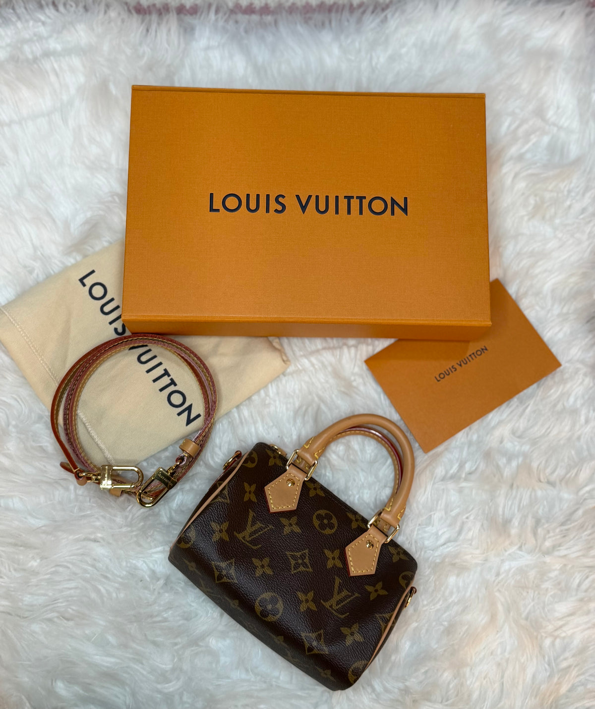 LOUIS VUITTON NANO SPEEDY AND MONOGRAM CANVAS
