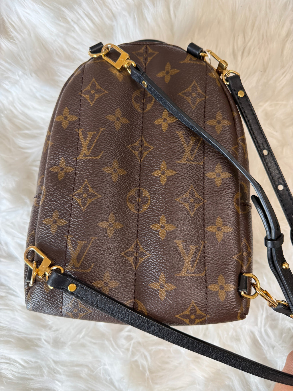 LOUIS VUITTON MONOGRAM PALM SPRINGS MINI BACKPACK