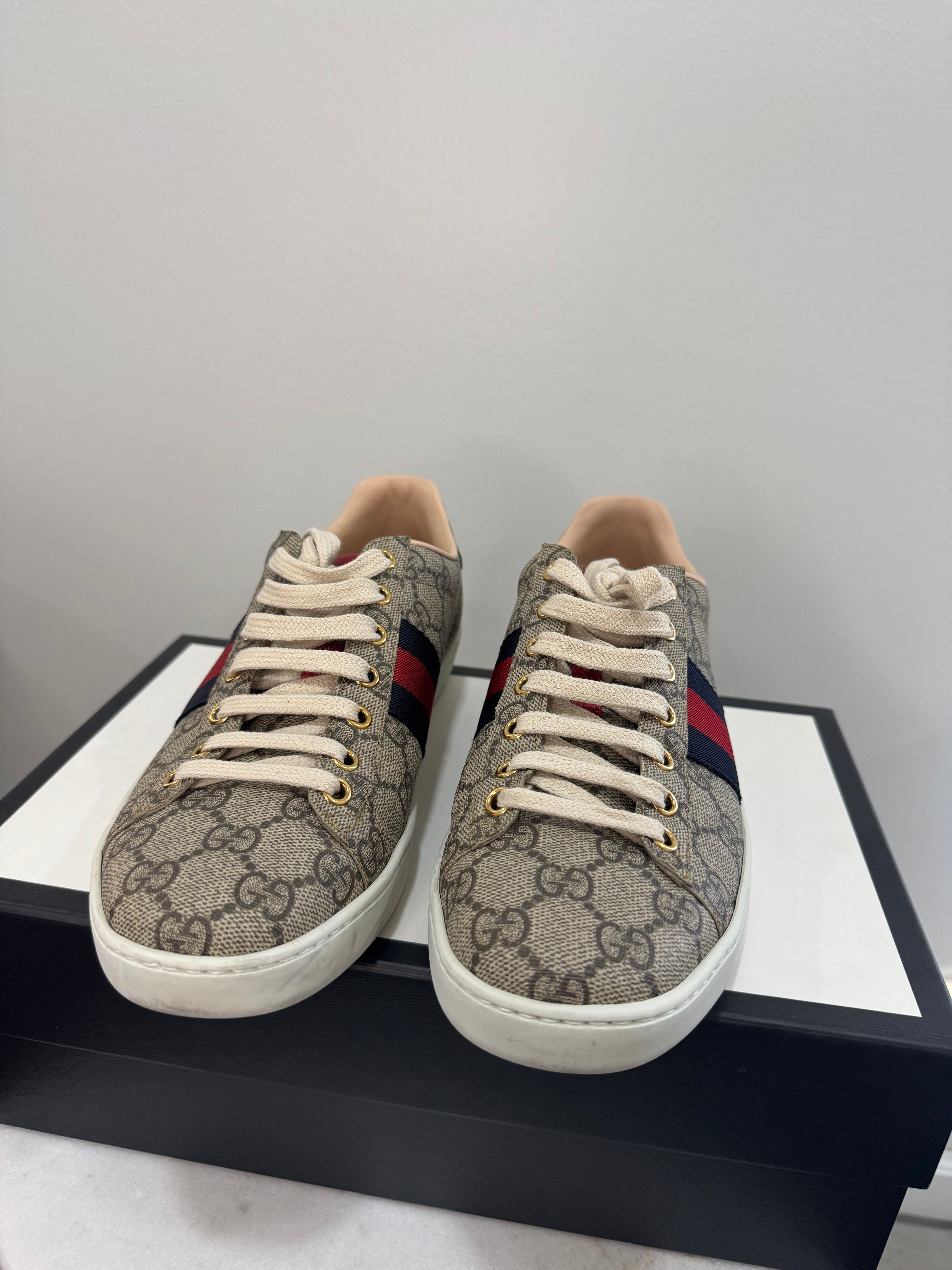 Gucci supreme sneakers