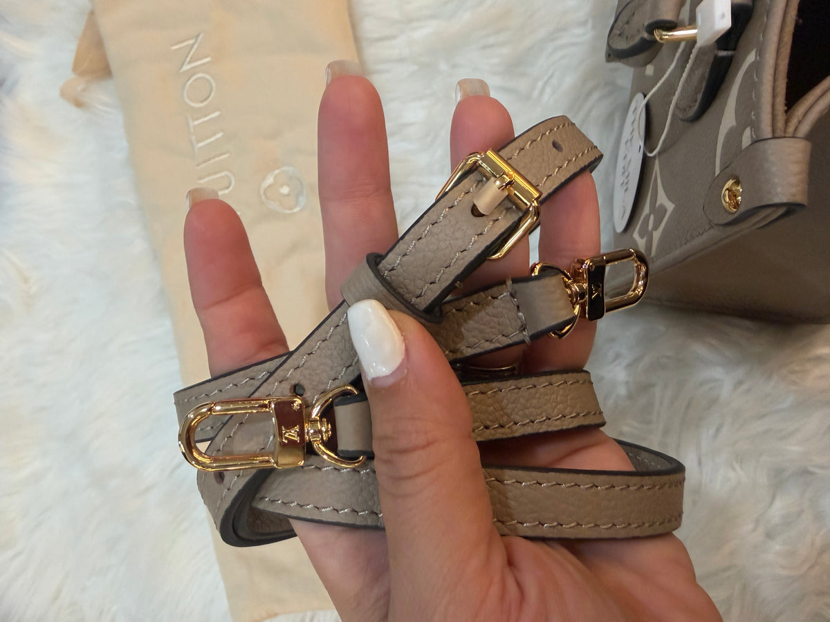 LOUIS VUITTON GIANT FELICIE ON THE GO BB BAG
