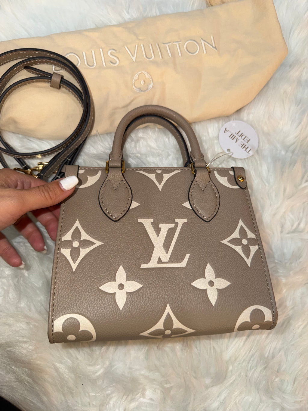 LOUIS VUITTON GIANT FELICIE ON THE GO BB BAG