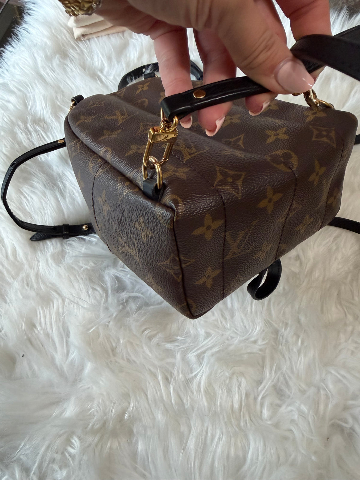 LOUIS VUITTON MONOGRAM PALM SPRINGS MINI BACKPACK