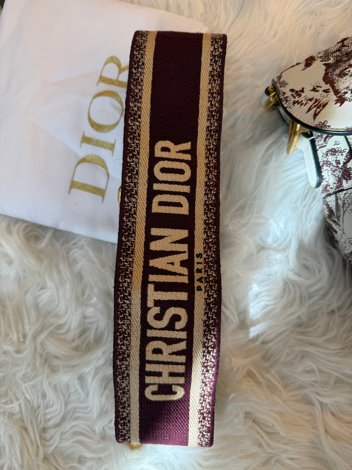 DIOR MEDIUM SADDLE TOILE DE JOUR TIGER EMBROIDERED CALFSKIN