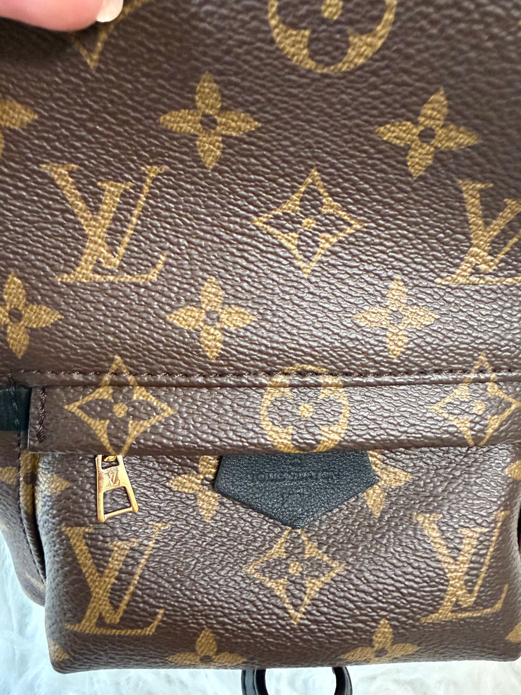 LOUIS VUITTON MONOGRAM PALM SPRINGS MINI BACKPACK