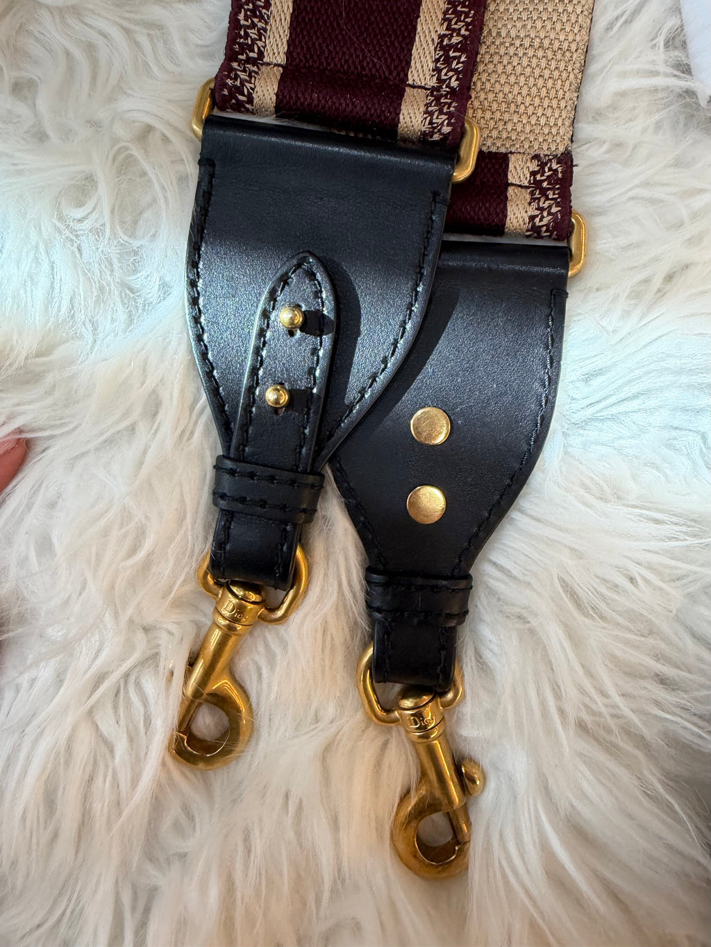 DIOR MEDIUM SADDLE TOILE DE JOUR TIGER EMBROIDERED CALFSKIN