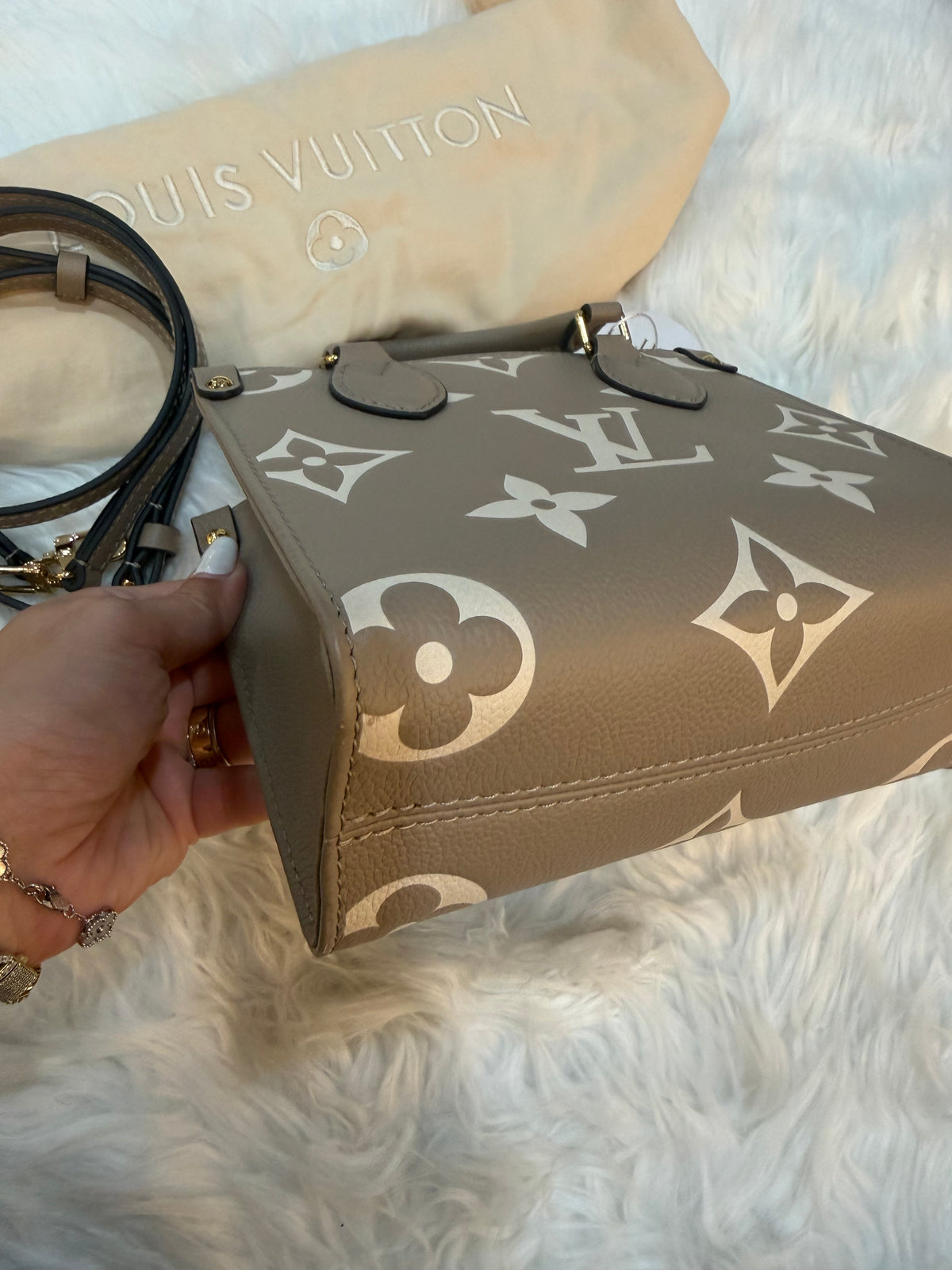 LOUIS VUITTON GIANT FELICIE ON THE GO BB BAG