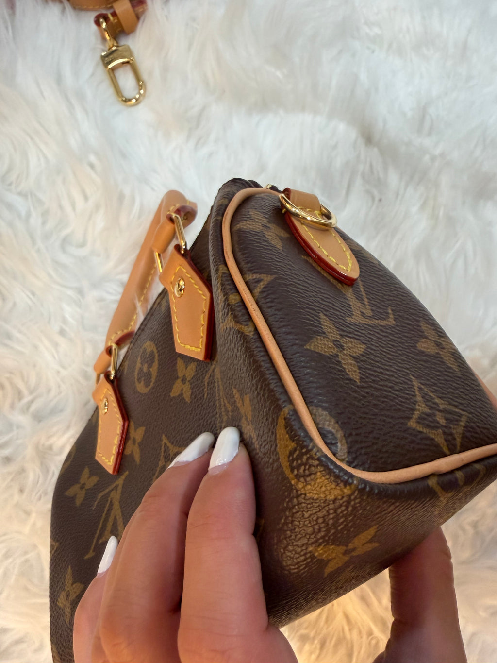 LOUIS VUITTON NANO SPEEDY AND MONOGRAM CANVAS