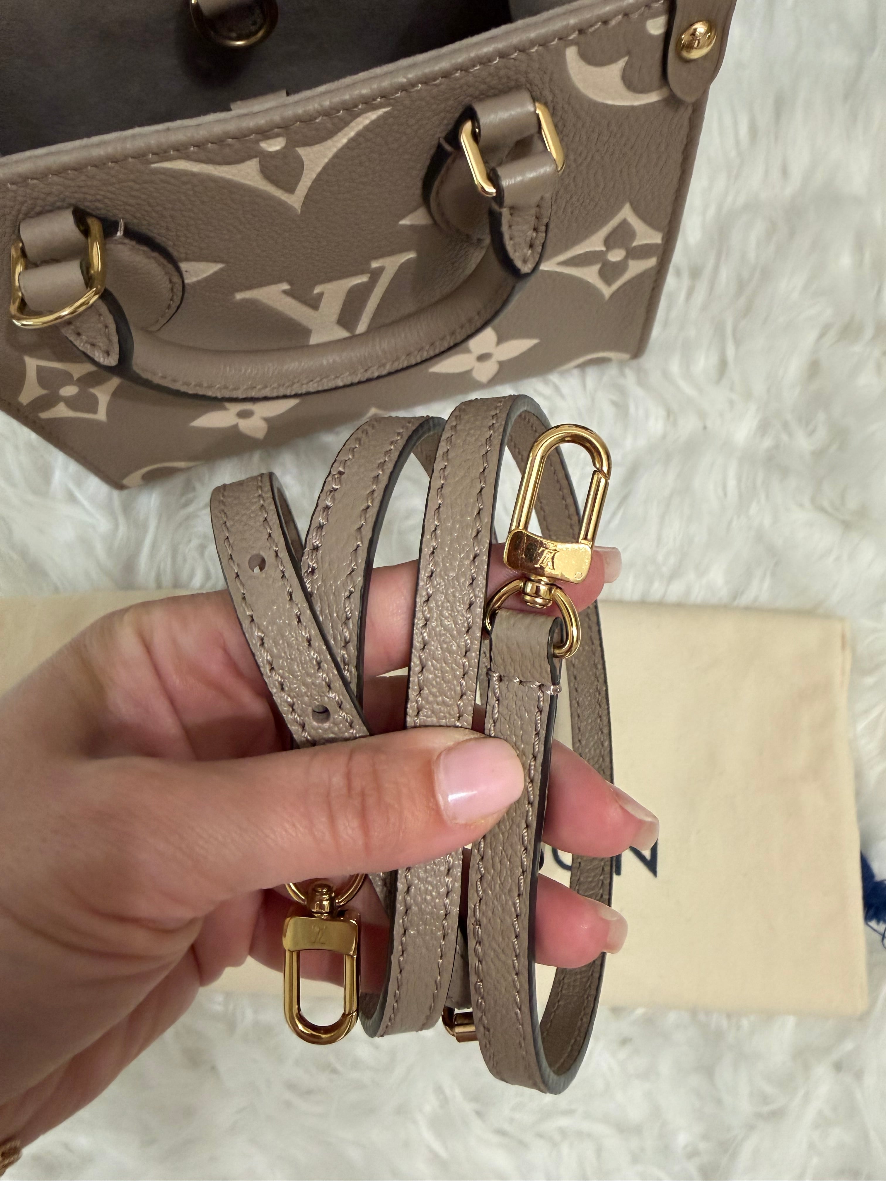 LOUIS VUITTON GIANT FELICIE ON THE GO BB BAG
