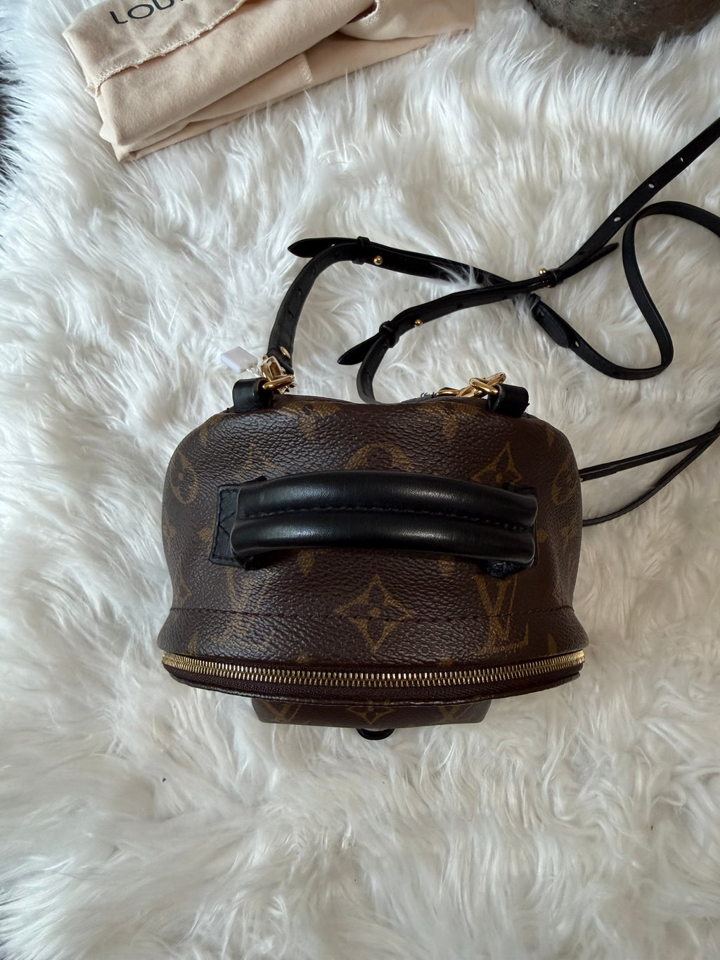 LOUIS VUITTON MONOGRAM PALM SPRINGS MINI BACKPACK