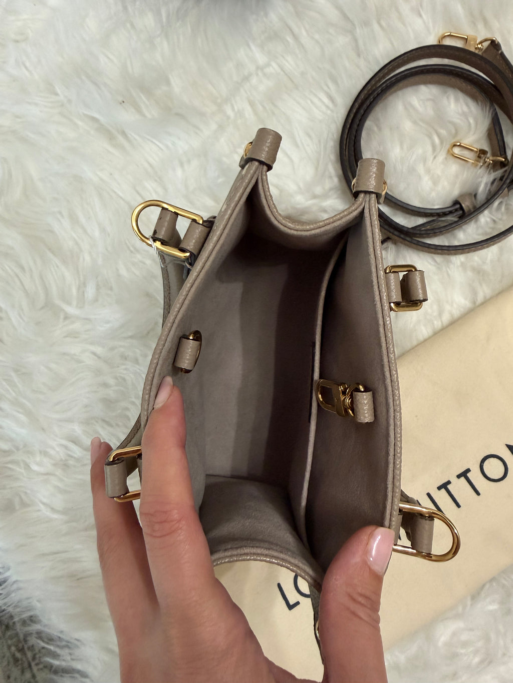 LOUIS VUITTON GIANT FELICIE ON THE GO BB BAG