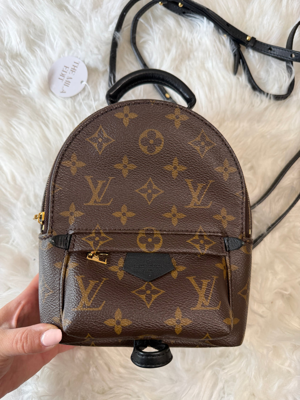 LOUIS VUITTON MONOGRAM PALM SPRINGS MINI BACKPACK