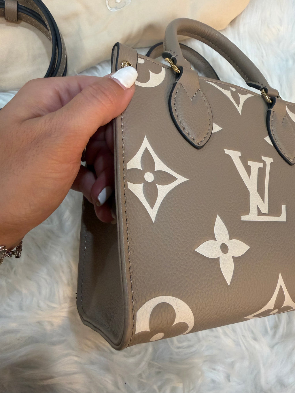 LOUIS VUITTON GIANT FELICIE ON THE GO BB BAG