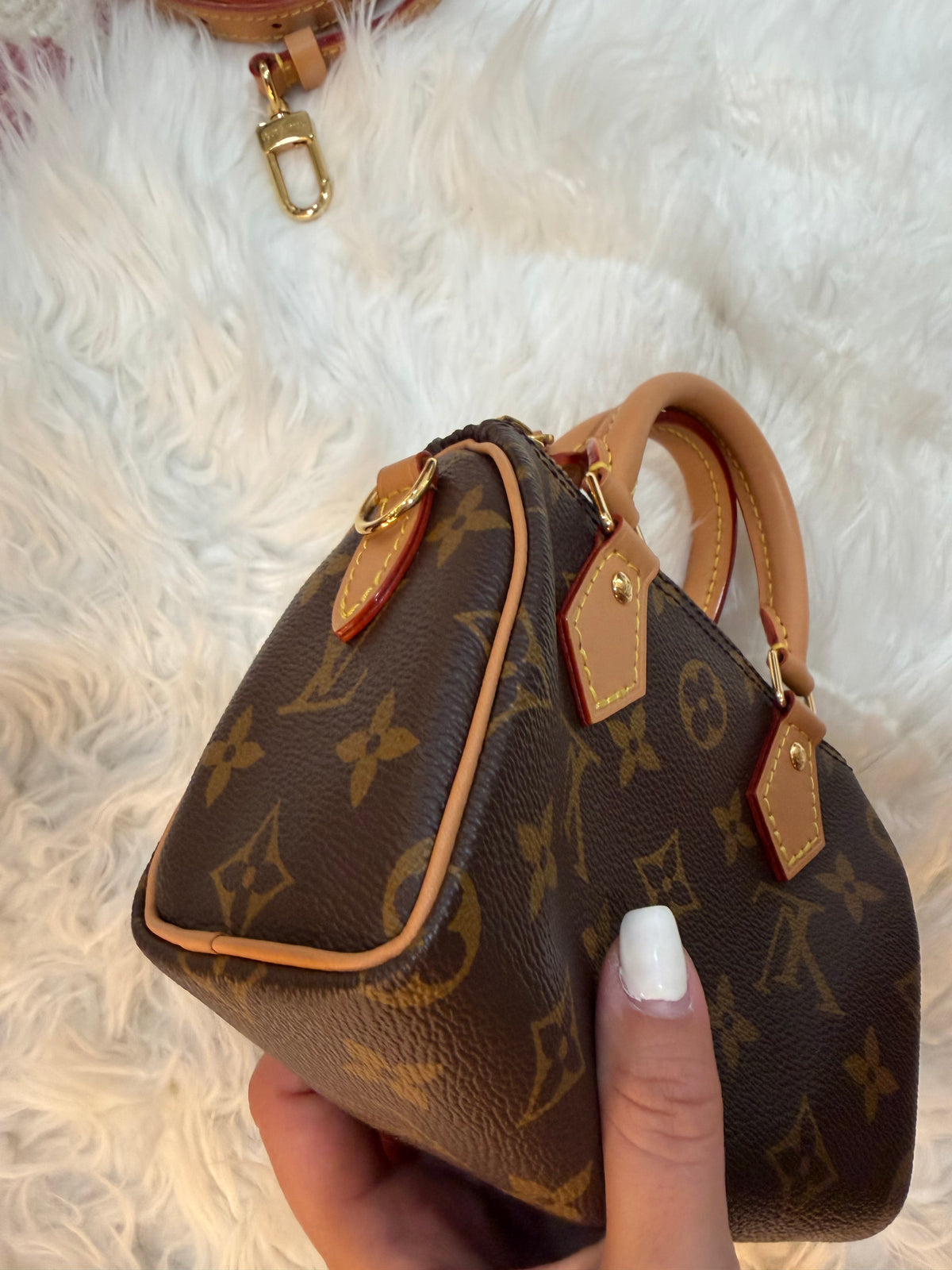 LOUIS VUITTON NANO SPEEDY AND MONOGRAM CANVAS