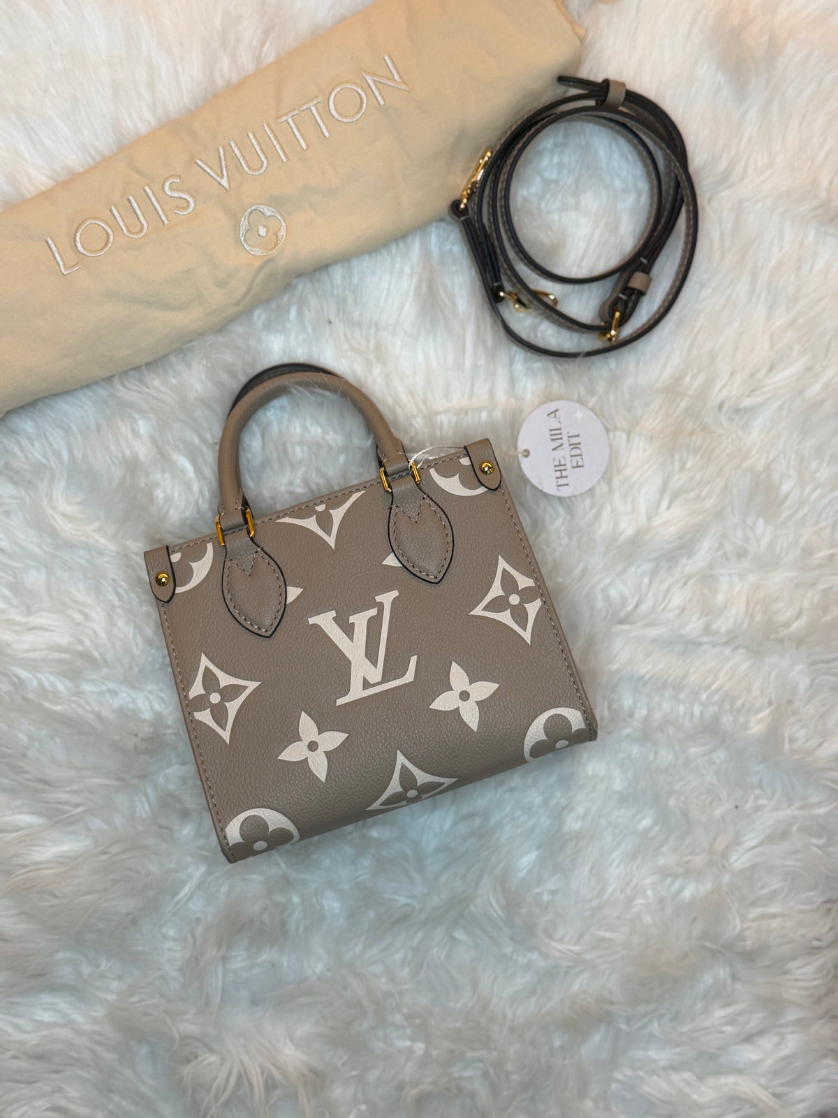 LOUIS VUITTON GIANT FELICIE ON THE GO BB BAG