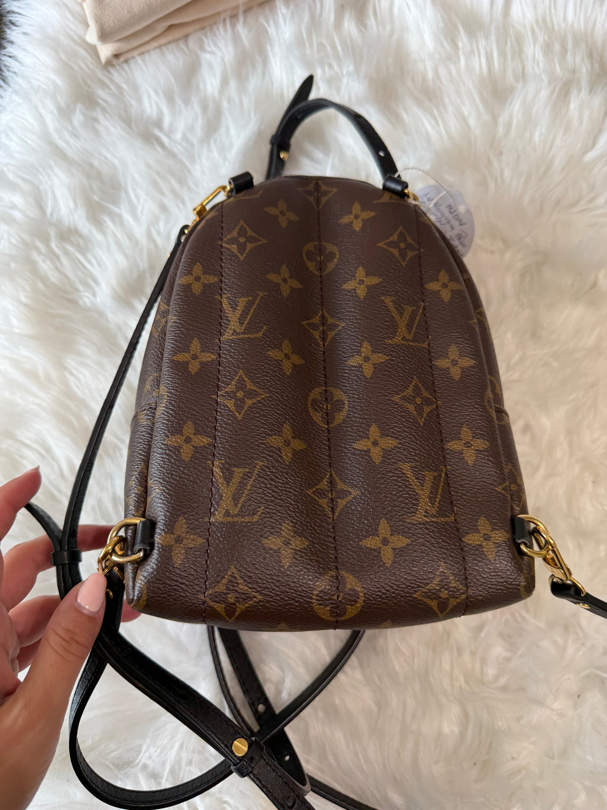 LOUIS VUITTON MONOGRAM PALM SPRINGS MINI BACKPACK