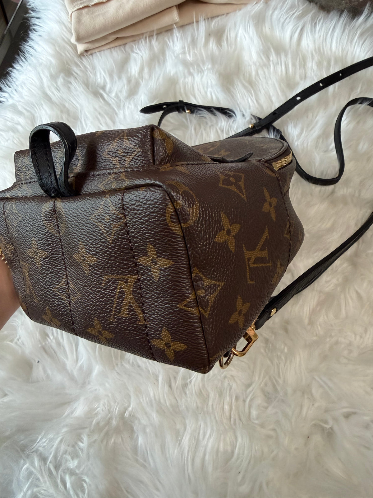 LOUIS VUITTON MONOGRAM PALM SPRINGS MINI BACKPACK
