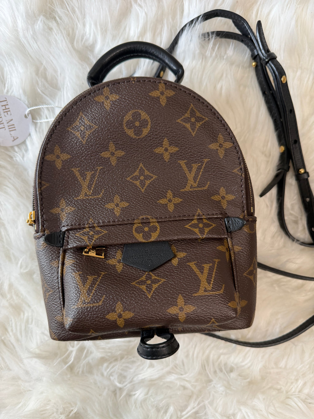 LOUIS VUITTON MONOGRAM PALM SPRINGS MINI BACKPACK