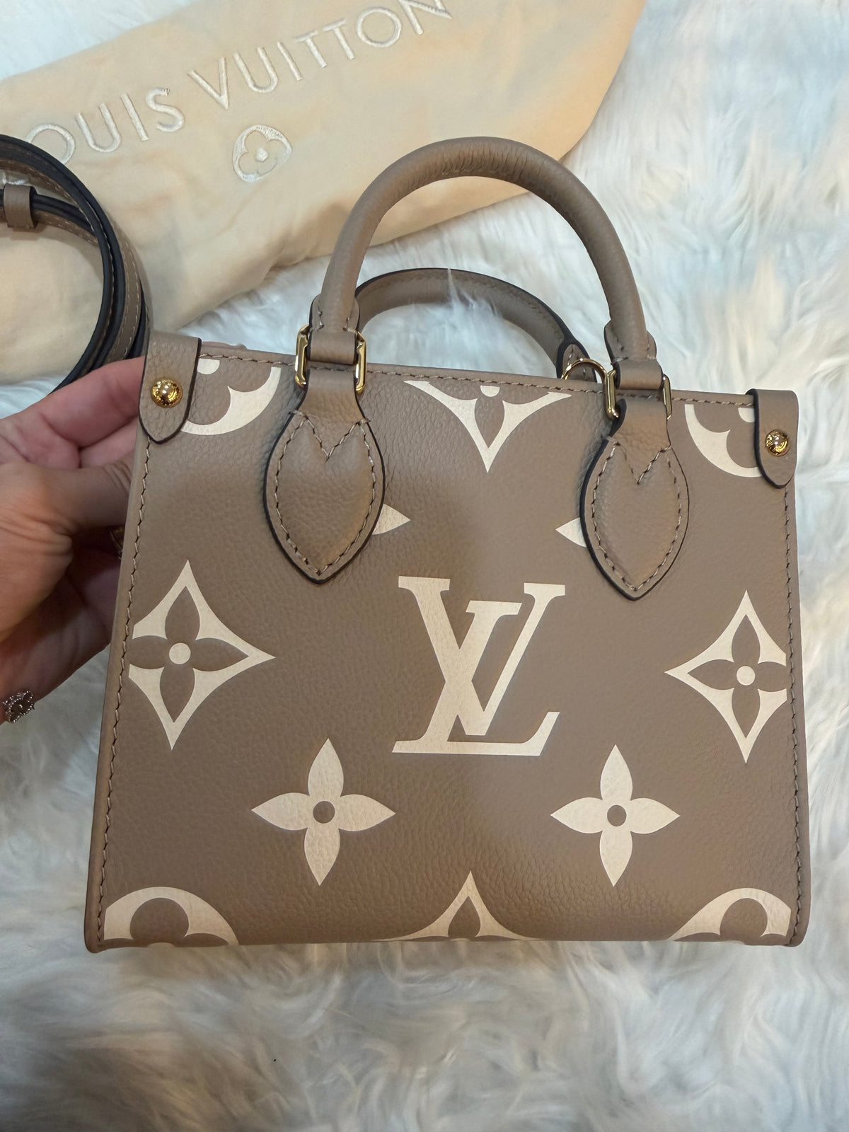 LOUIS VUITTON GIANT FELICIE ON THE GO BB BAG