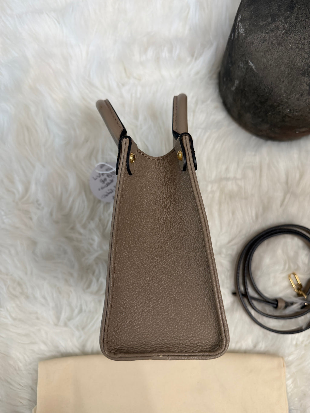 LOUIS VUITTON GIANT FELICIE ON THE GO BB BAG