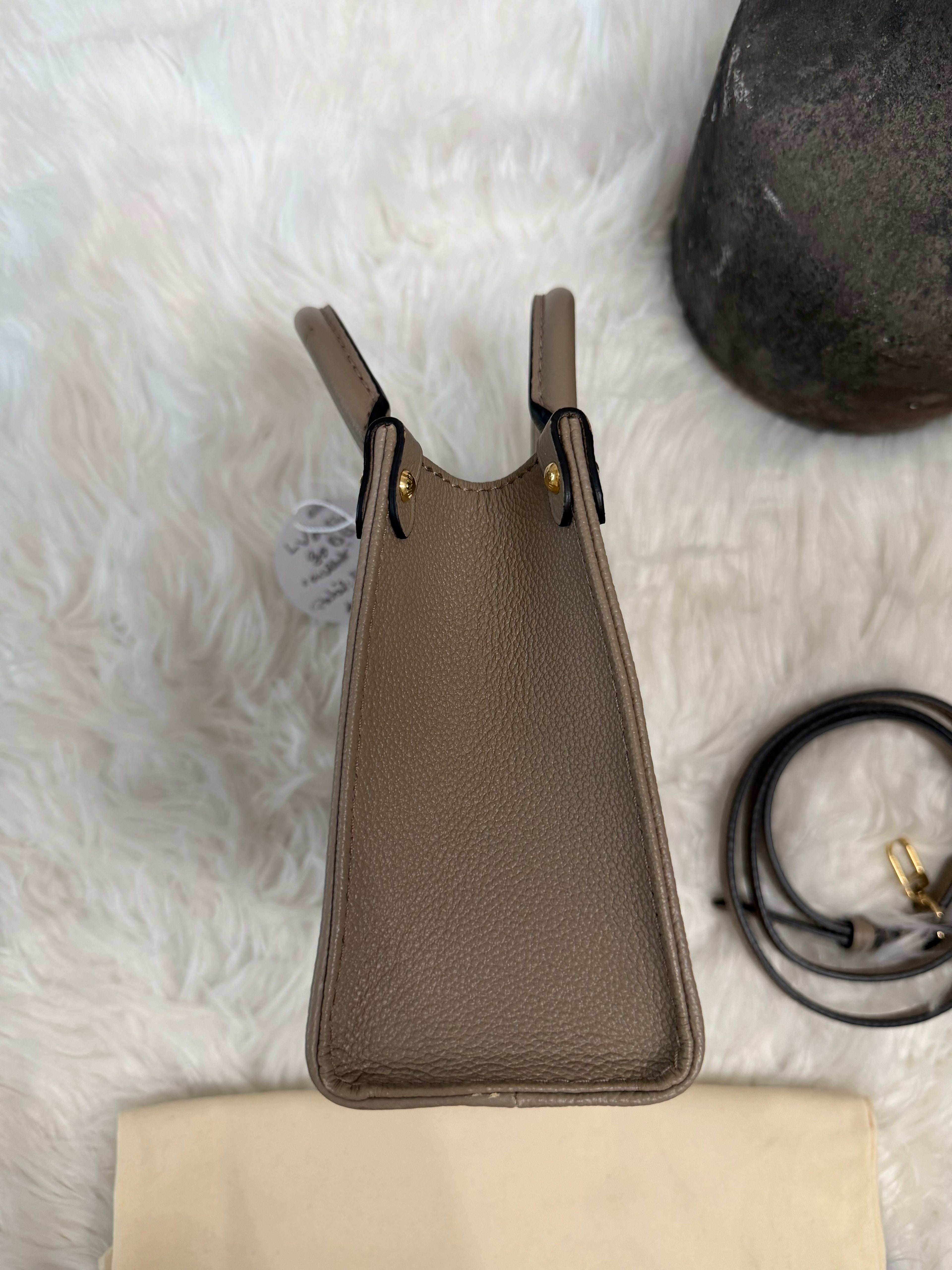 LOUIS VUITTON GIANT FELICIE ON THE GO BB BAG
