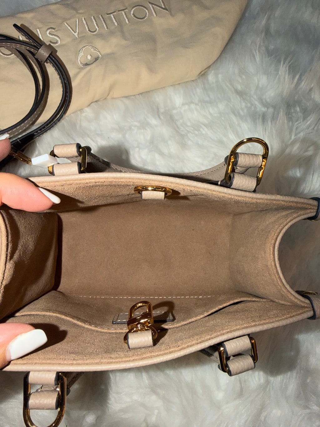 LOUIS VUITTON GIANT FELICIE ON THE GO BB BAG