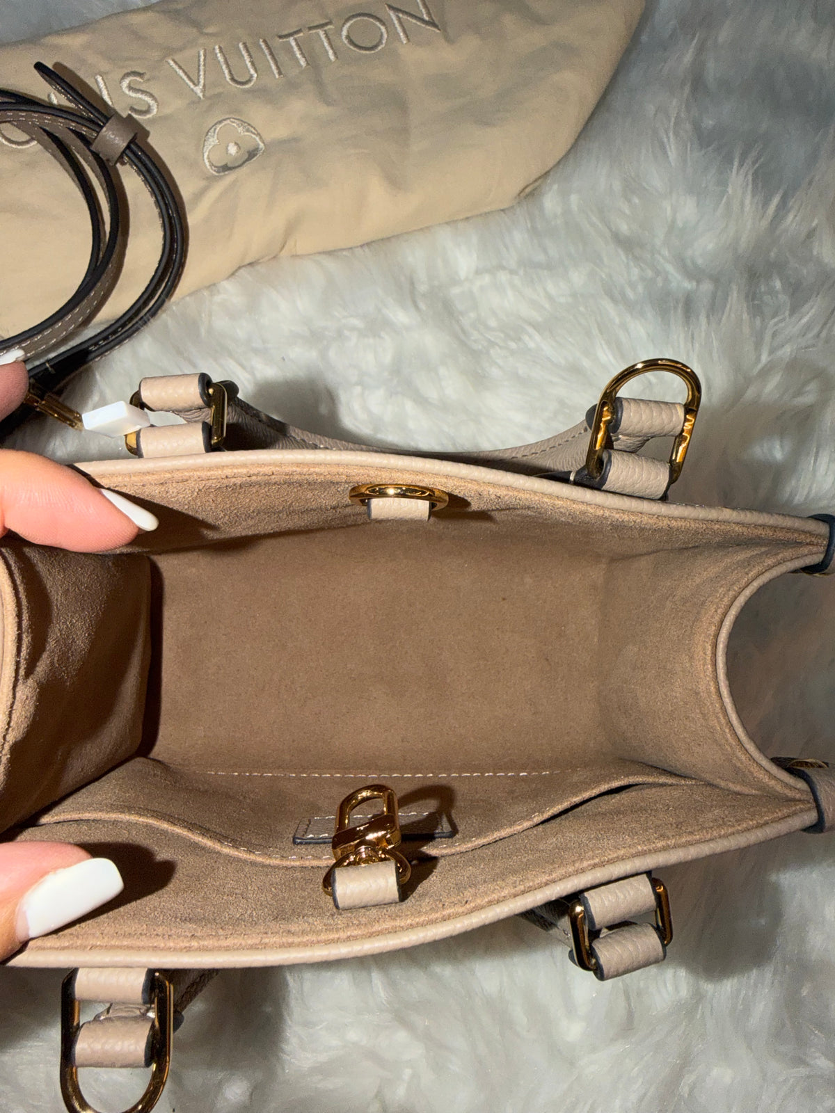 LOUIS VUITTON GIANT FELICIE ON THE GO BB BAG