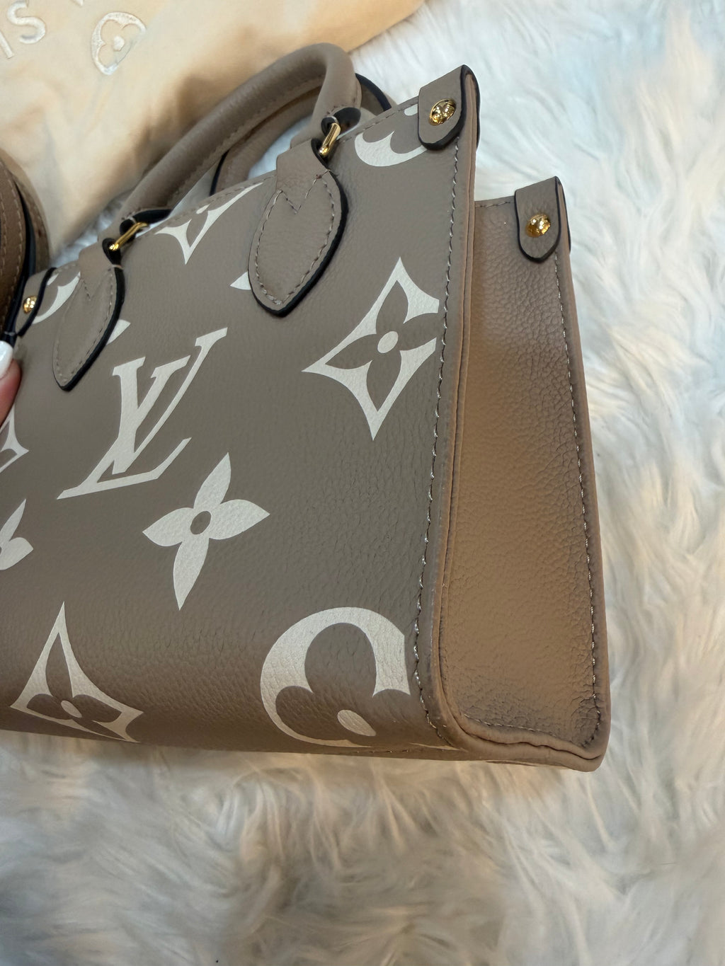 LOUIS VUITTON GIANT FELICIE ON THE GO BB BAG