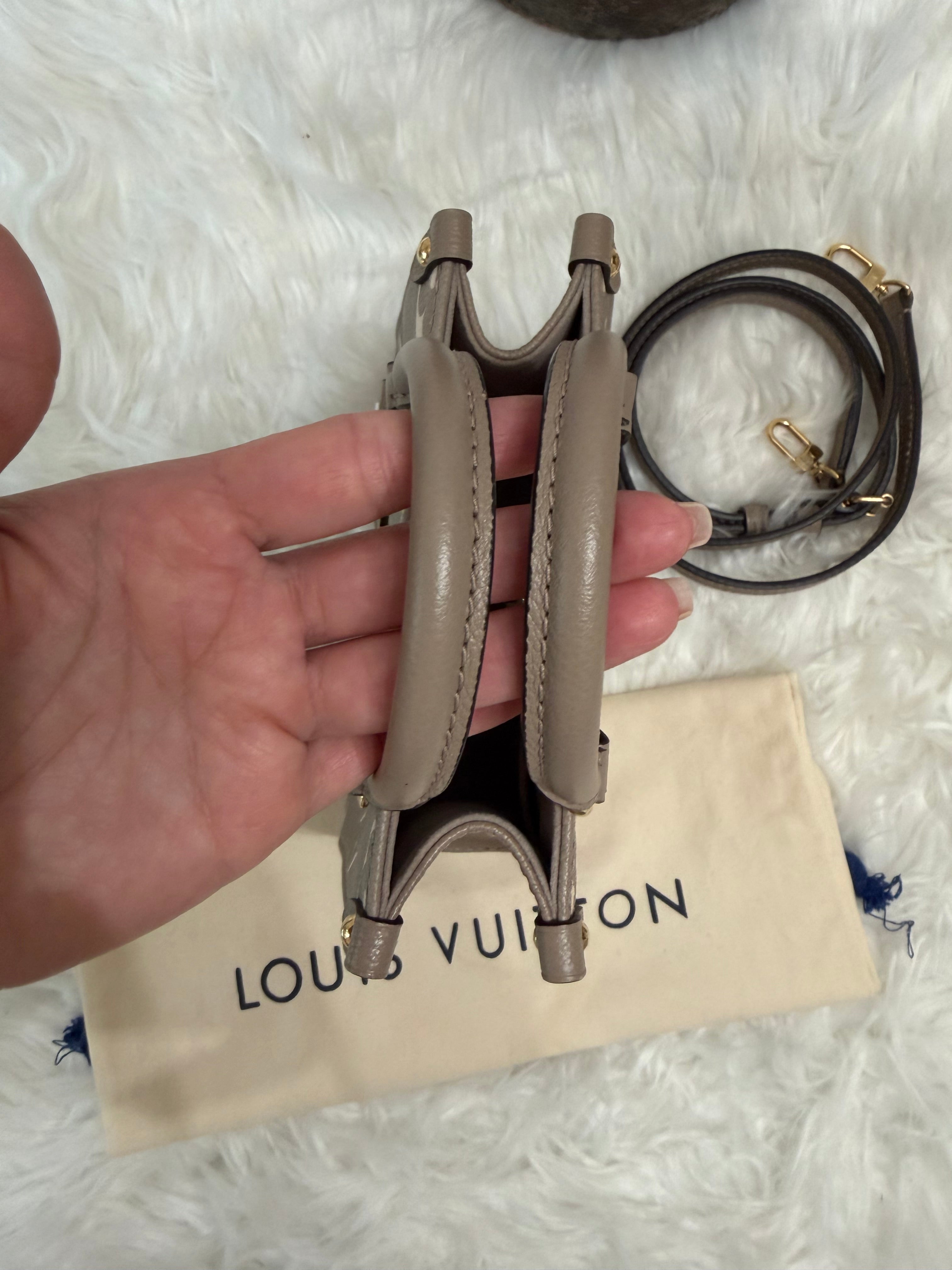 LOUIS VUITTON GIANT FELICIE ON THE GO BB BAG