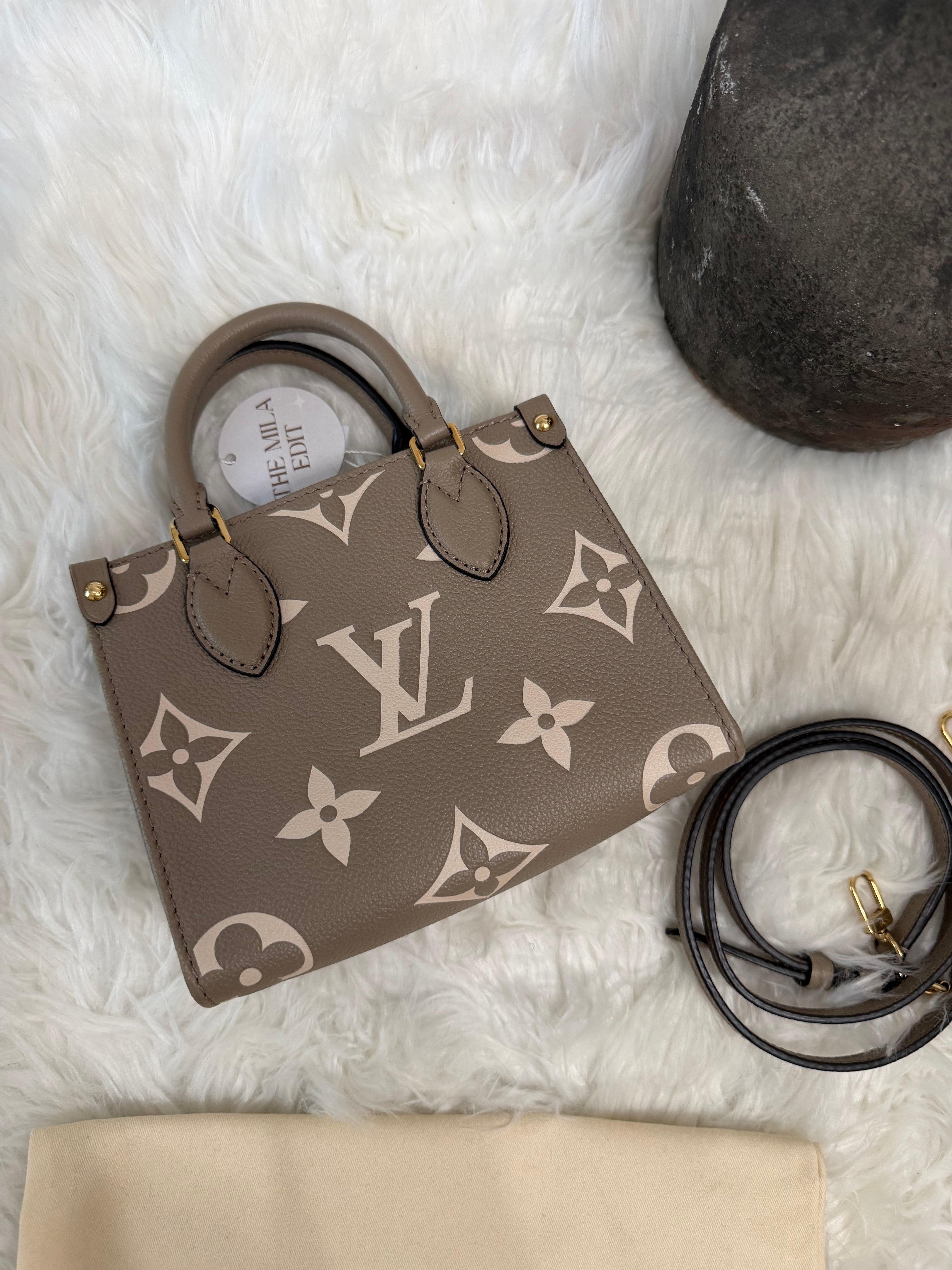 LOUIS VUITTON GIANT FELICIE ON THE GO BB BAG