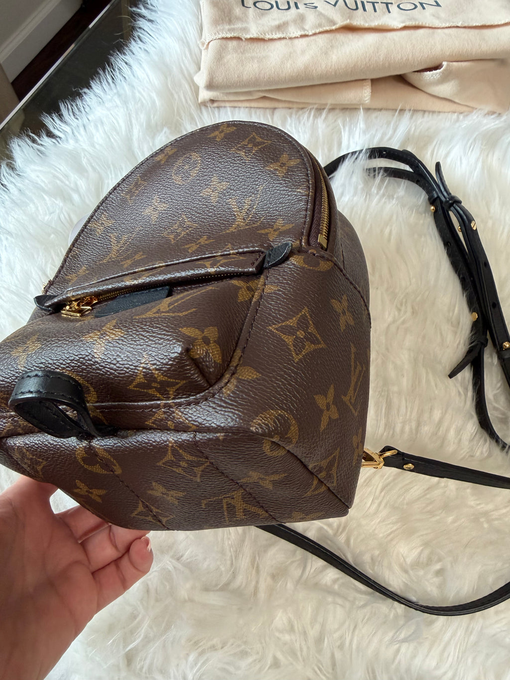 LOUIS VUITTON MONOGRAM PALM SPRINGS MINI BACKPACK