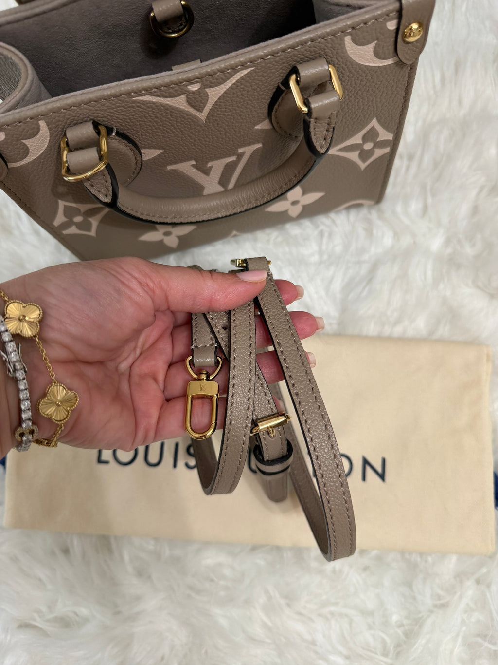 LOUIS VUITTON GIANT FELICIE ON THE GO BB BAG