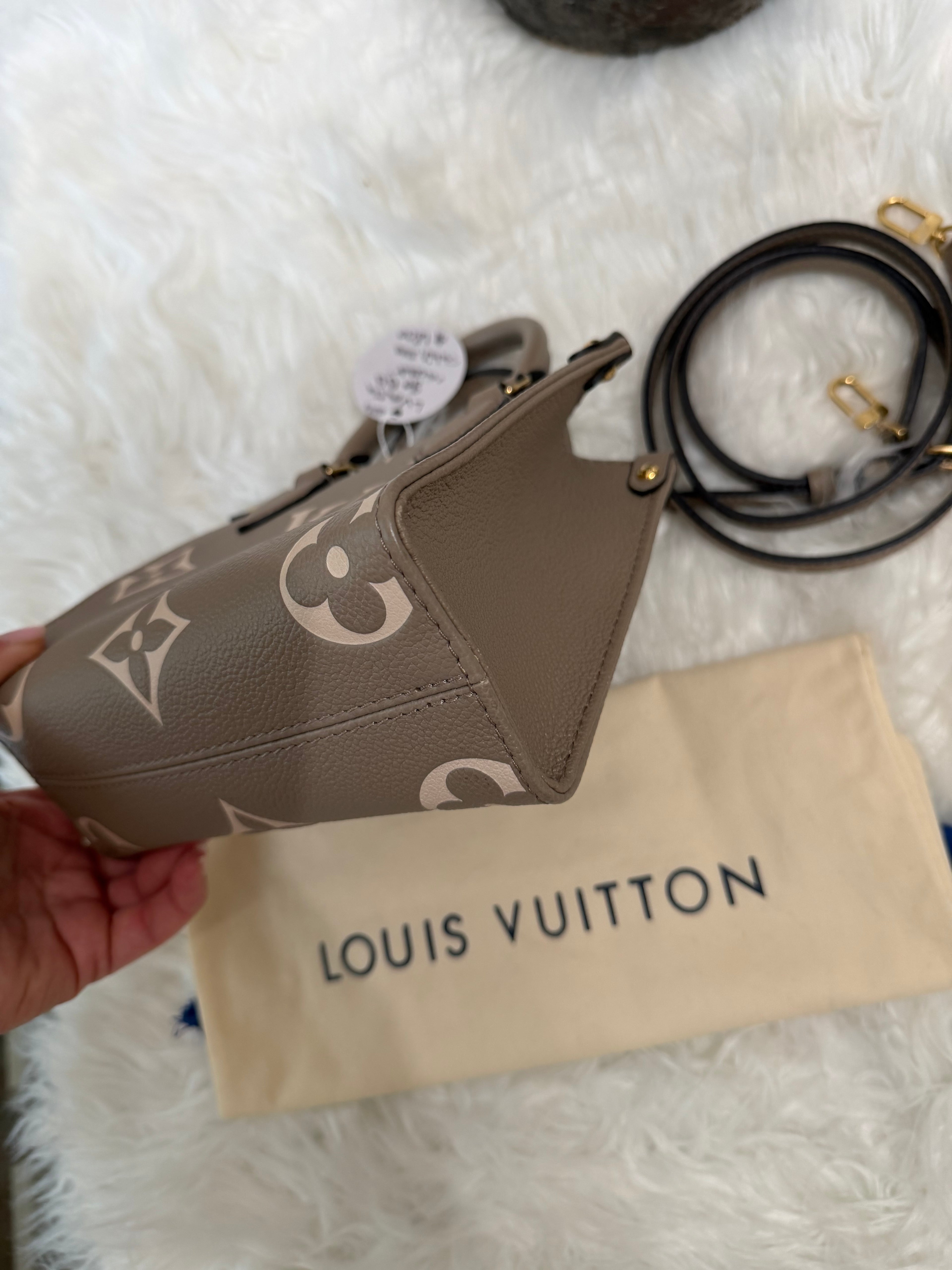 LOUIS VUITTON GIANT FELICIE ON THE GO BB BAG