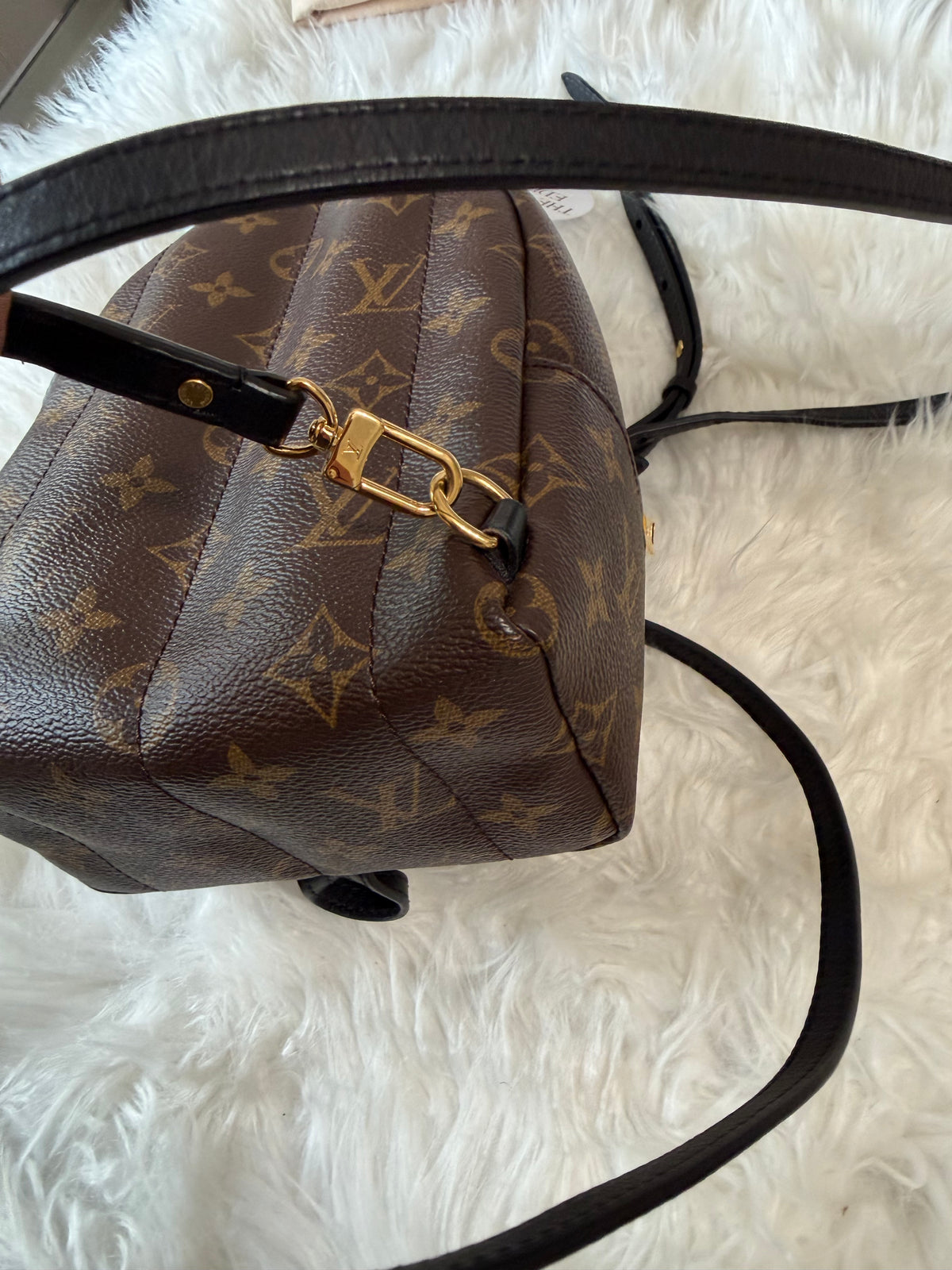 LOUIS VUITTON MONOGRAM PALM SPRINGS MINI BACKPACK