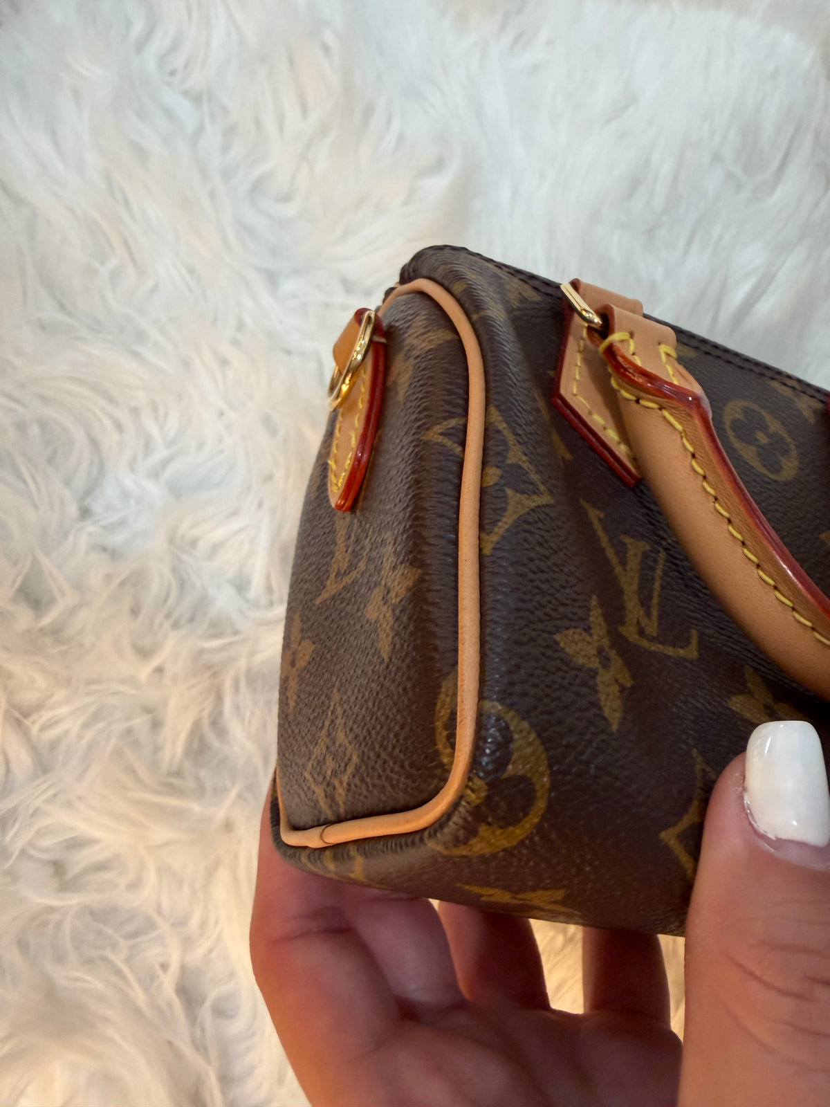 LOUIS VUITTON NANO SPEEDY AND MONOGRAM CANVAS