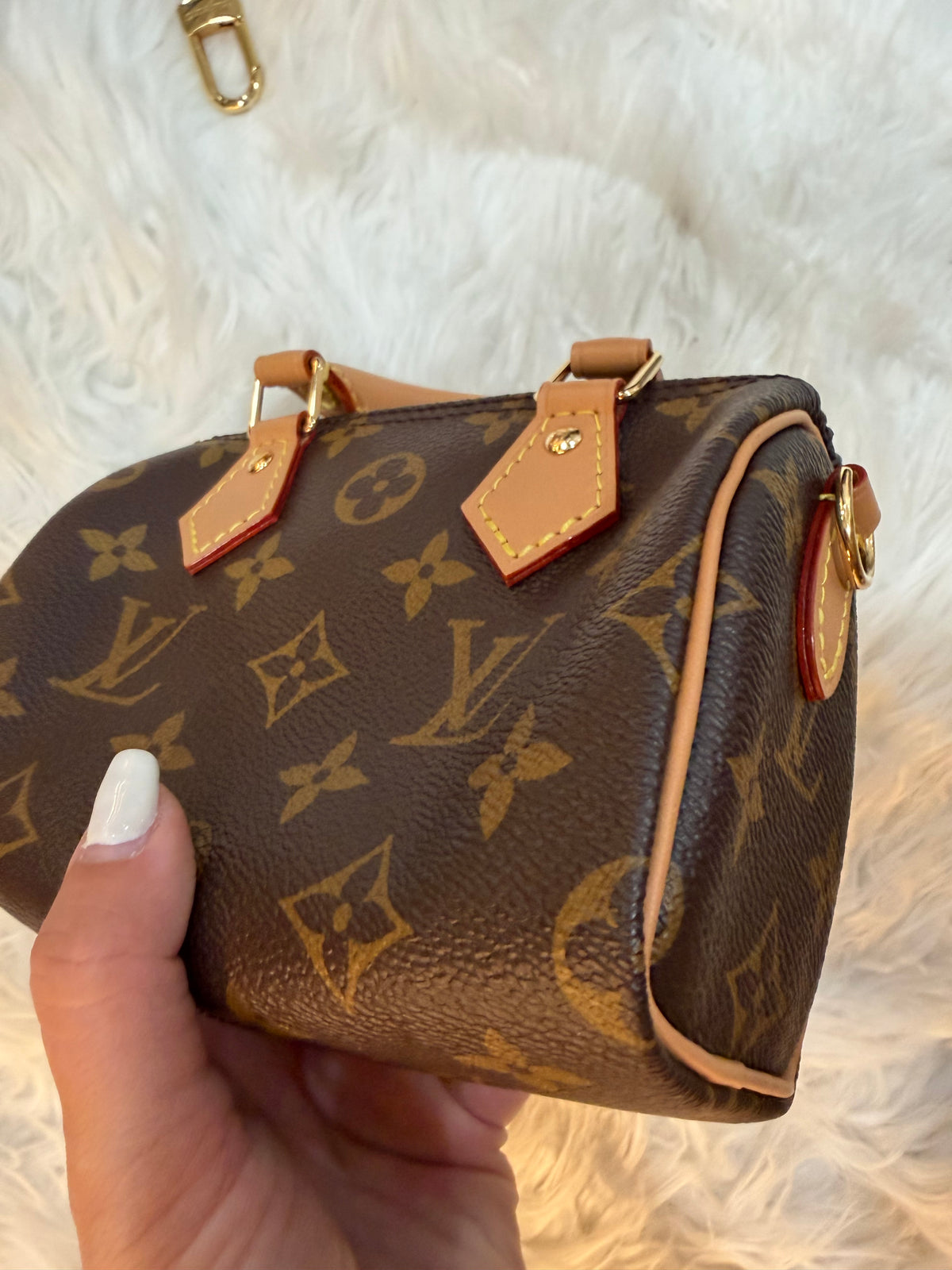 LOUIS VUITTON NANO SPEEDY AND MONOGRAM CANVAS